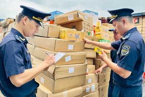 HCMC customs industry earns US$4.4 bln in revenue