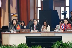 Vietnam puts forth recommendations at APPF-31 
