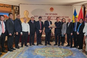 Direct air route linking HCMC, Sweden proposed to be opened soon