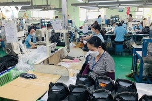 No health insurance extension for enterprises with overdue premiums