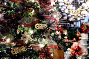 Vietnamese goods dominate Christmas market