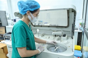 Law helps promote transparency in bidding activities: Insiders