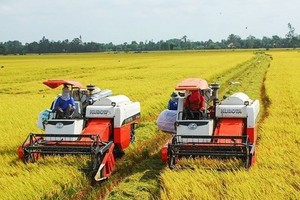 Export results in 2023 provide stepping stone for rice sector next year