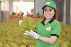Durian plays vital role on country’s total export turnover in 2023
