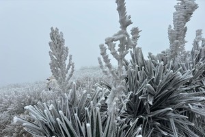 Temperature in Northern mountainous region to plummet to below 5 degrees Celsius