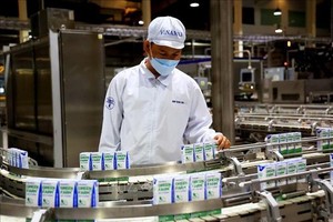 HCMC lures green investments to boost sustainable development