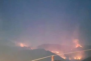 Wildfire burns down 25 hectares of Hoang Lien National Park’s forestland