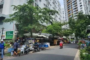 Japanese partners to construct pedestrian bridge across Saigon River