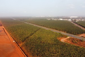 Contractors grass slopes to mitigate red dust pollution at Long Thanh Airport