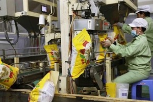 Good signs for Vietnam's rice exports