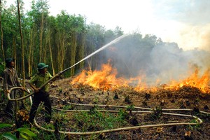 Forest fire danger level in Hau Giang raised to very high (level 4) 