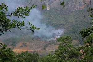 PM orders strengthening forest fire prevention, control