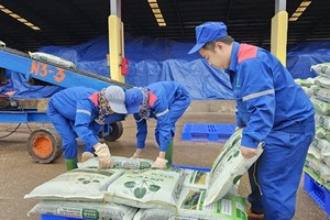 Vietnam imports nearly VND352 million worth of fertilizers in Q1