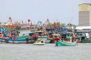 Government’s action program cracks down on illegal fishing