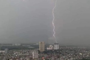 Approximately two million lightning strikes hit ground in Vietnam each year