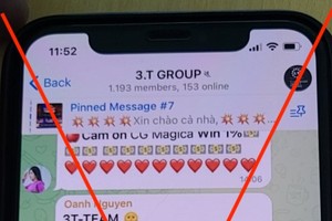 Frauds on foreign stock exchange, virtual currencies happen again