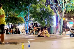 District 1 to strictly handle street vending on Nguyen Hue Walking Street