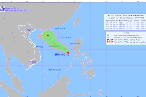 Tropical depression newly forms in East Sea
