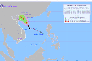 Northern localities urgently deal with storm, downpour-triggered flood
