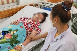 HCMC records rise in dengue fever cases, drop in hand, foot, mouth cases
