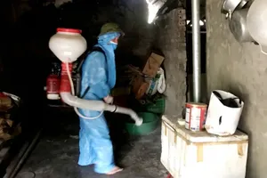 Dengue fever in Ha Tinh Province successfully controlled