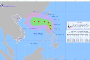 Coastal localities asked to early prepare for typhoon Yagi response