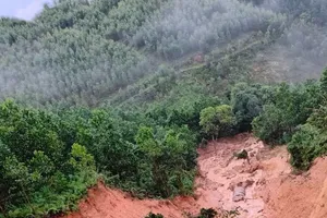 Quang Ninh urgently evacuates households from hazardous areas of landslides