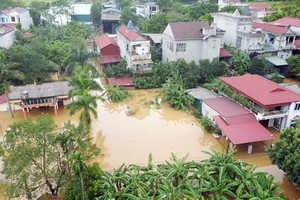 Vietnam, China cooperate in natural disaster response 