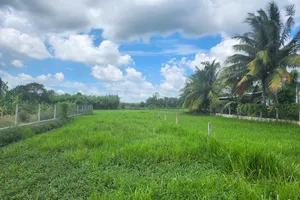 Authorities urged to finalize land price adjustment by October 16 afternoon