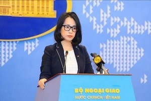 Spokeswoman provides information on US's handover of trainer aircraft to Vietnam