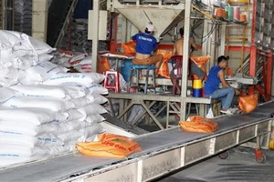 Vietnam’s rice exports to Singapore surge