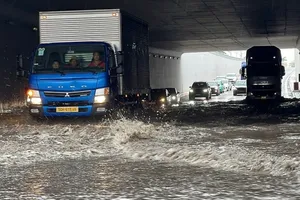 Southern region sees record-breaking unseasonal rainfall