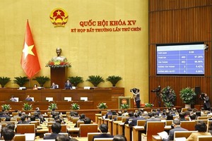 National Assembly adopts amended Law on the Organization of the Government