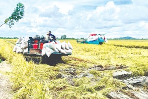 Agricultural sector quickly adapts to new challenges