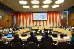 Vietnam vows to promote realisation of Sustainable Development Goals: diplomat