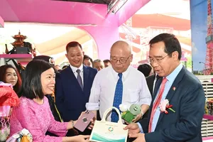 Vietnam - Japan Festival in Ho Chi Minh City kicked off