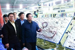 PM urges removal of 30 percent of unnecessary business conditions