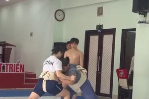 Sumo martial art set for development in Ho Chi Minh City
