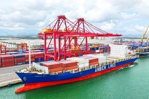 Chu Lai International Port aims to become world-class logistics center