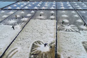 Sea salt making profession in Bac Lieu Province boasts 100-year journey