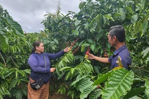 Coffee prices remain high, export revenue exceeds US$1.7 bln in first two months