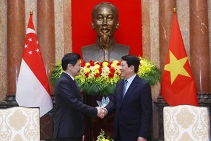 Vietnam treasures relations with Singapore: State President