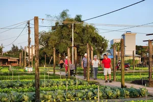 Central localities promote rural tourism development