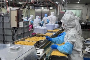 Vietnam, Japan ink strategic oyster industry partnership