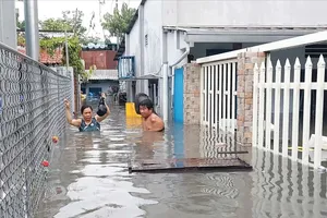 Districts across Ho Chi Minh City inundated after heavy rains