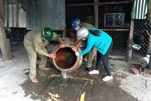 Mekong Delta makes efforts to control dengue fever, hand, foot, mouth disease