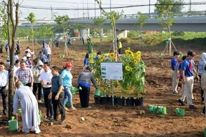 Thu Duc City plants over one million new trees