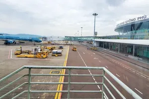 Airlines requested to increase flights to Phu Cat Airport during tourism season