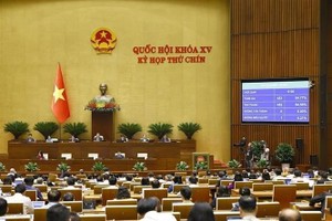 NA adopts resolution on VAT reduction, revised law on enterprises