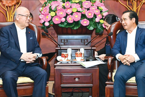 HCMC desires diversified formats for Vietnam–Japan Festival